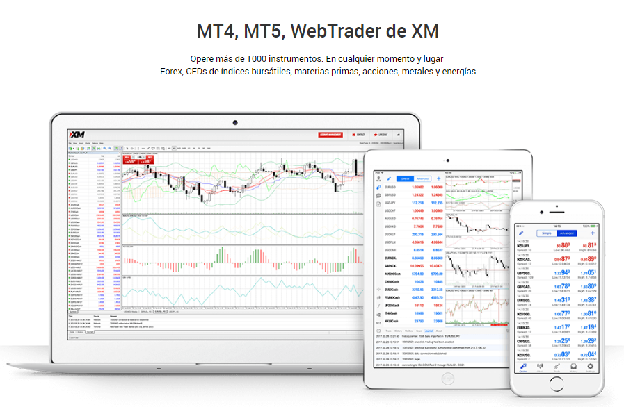 metatrader mx.com