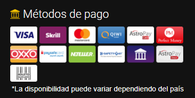 métodos de pago 24option