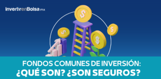 fondos comunes de inversion que son